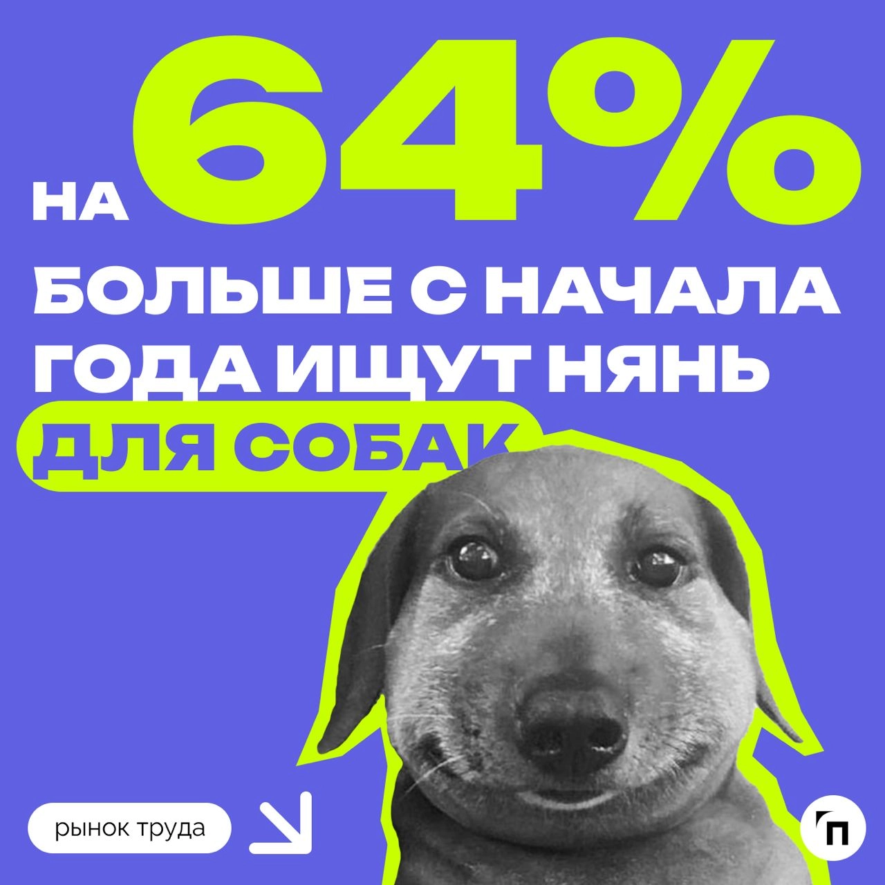 📊 В России в два раза вырос спрос на нянь для кошек
Эксперты hh | Сетка — новая социальная сеть от hh.ru