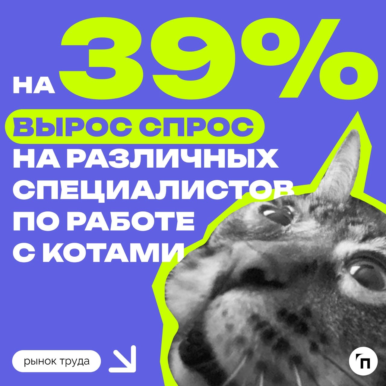 📊 В России в два раза вырос спрос на нянь для кошек
Эксперты hh | Сетка — новая социальная сеть от hh.ru