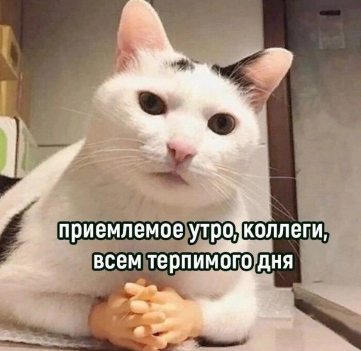 Утро вторника 🤝🏻 | Сетка — новая социальная сеть от hh.ru