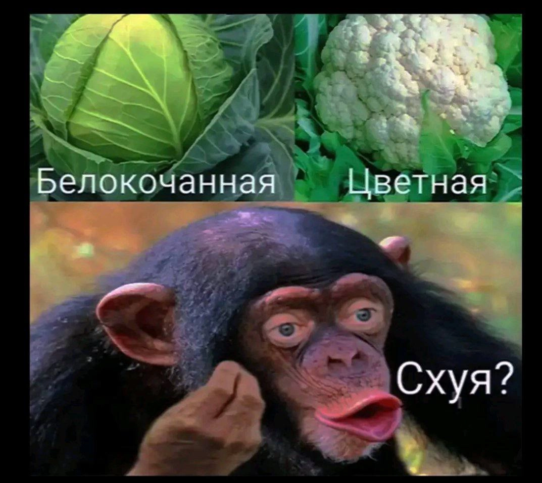 Сетка — новая социальная сеть от hh.ru