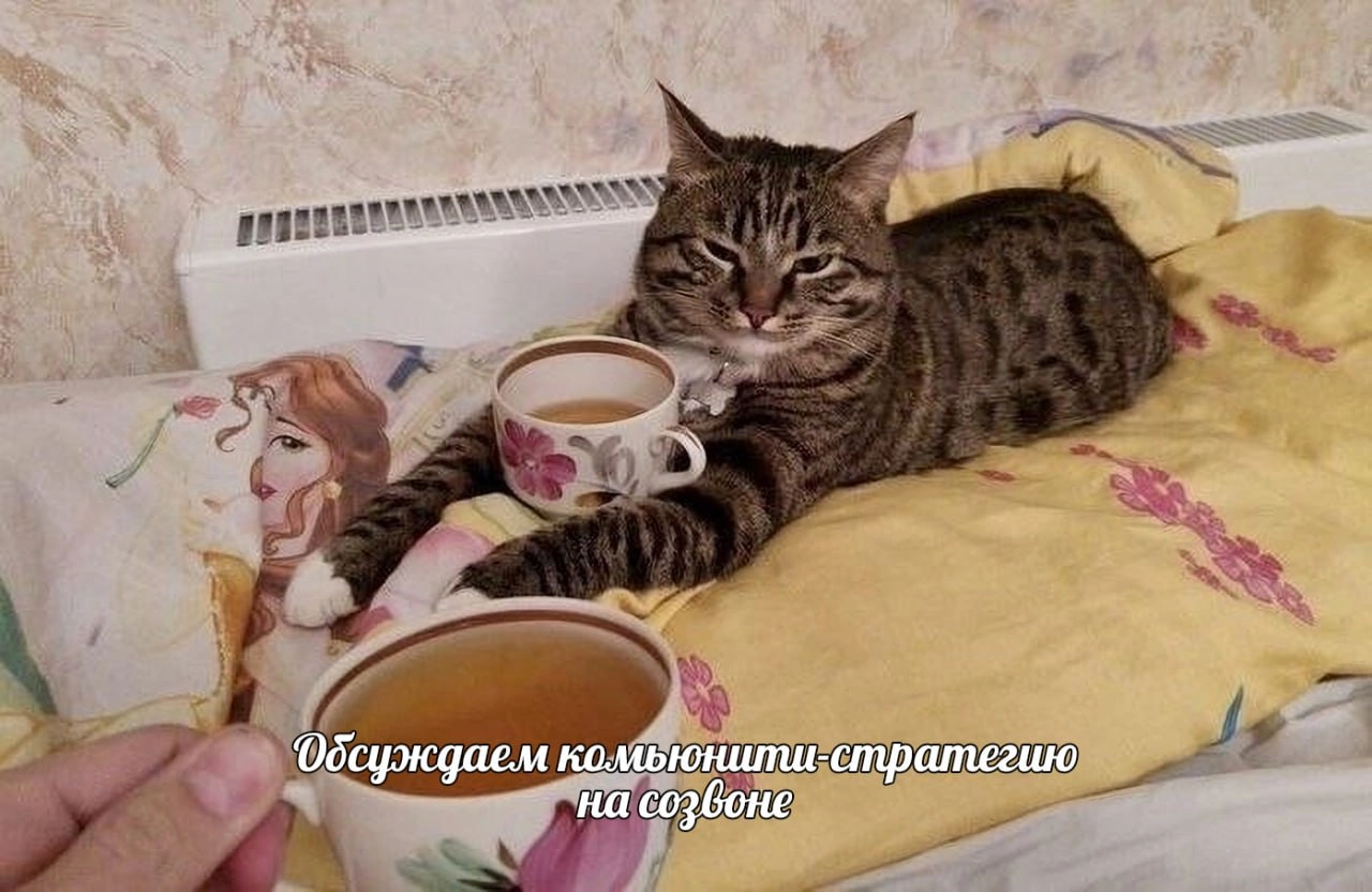 Признаки возникающего сообщества
Наткнулся на размышления о признаках возникающего сообщества от Дэвида Спинкса, опытного американского комьюнити-менеджера и основателя CMX | Сетка — новая социальная сеть от hh.ru