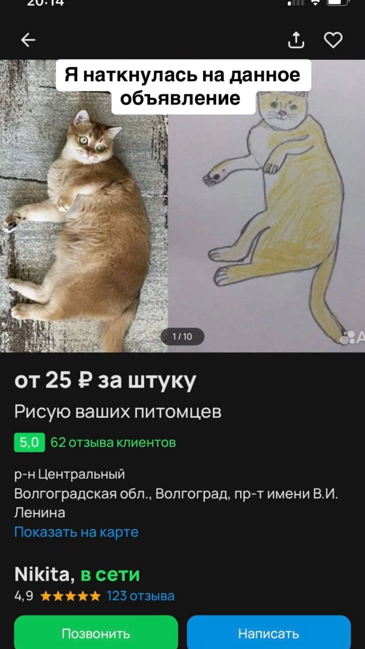 Милота: девушка нашла на Авито объявление семилетнего художника, который рисует портреты домашних животных за 25 рублей. 
Девушка не сдержалась и помогла парню еще чуть-чуть подкопить на смартфон | Сетка — новая социальная сеть от hh.ru