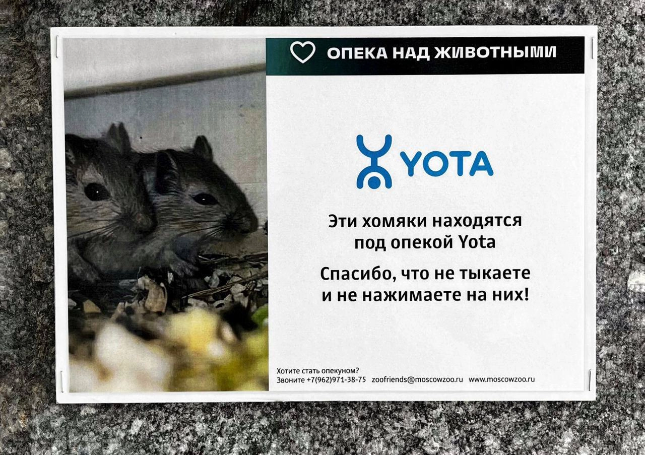 Гайз, нажимать на хомяка — слишком жестоко. Вот Yota против издевательств над животными и взяла под защиту хомячков в Московском зоопарке. Взамен бренд возвращает деньги за непотраченные минуты и гиги | Сетка — новая социальная сеть от hh.ru