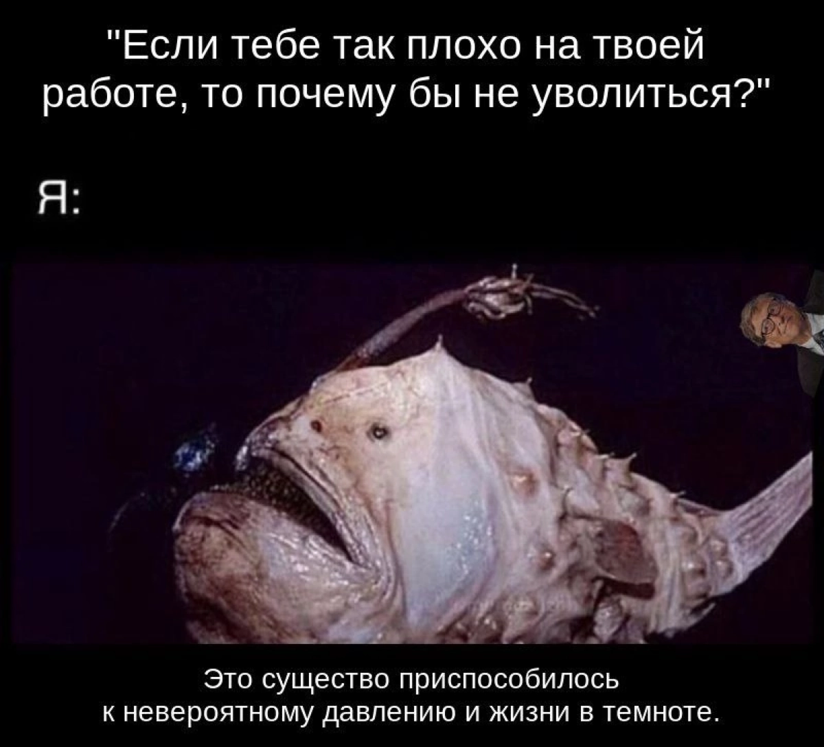 Сетка — новая социальная сеть от hh.ru