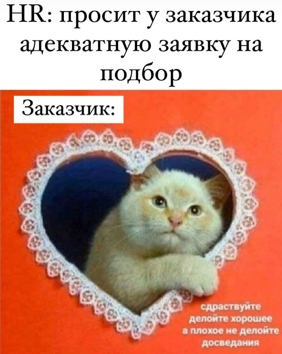 Коллеги, вам тоже заявки на подбор в таком виде присылают? | Сетка — новая социальная сеть от hh.ru