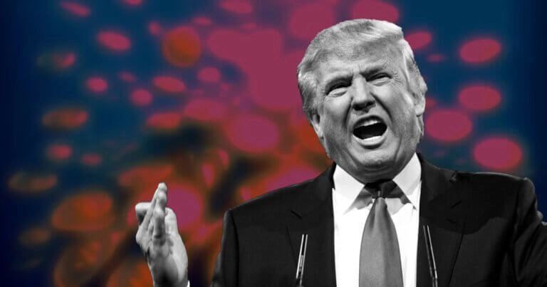 Семья Трампа представляет новую платформу DeFi, которая призвана подорвать «крупные банки» | Сетка — новая социальная сеть от hh.ru