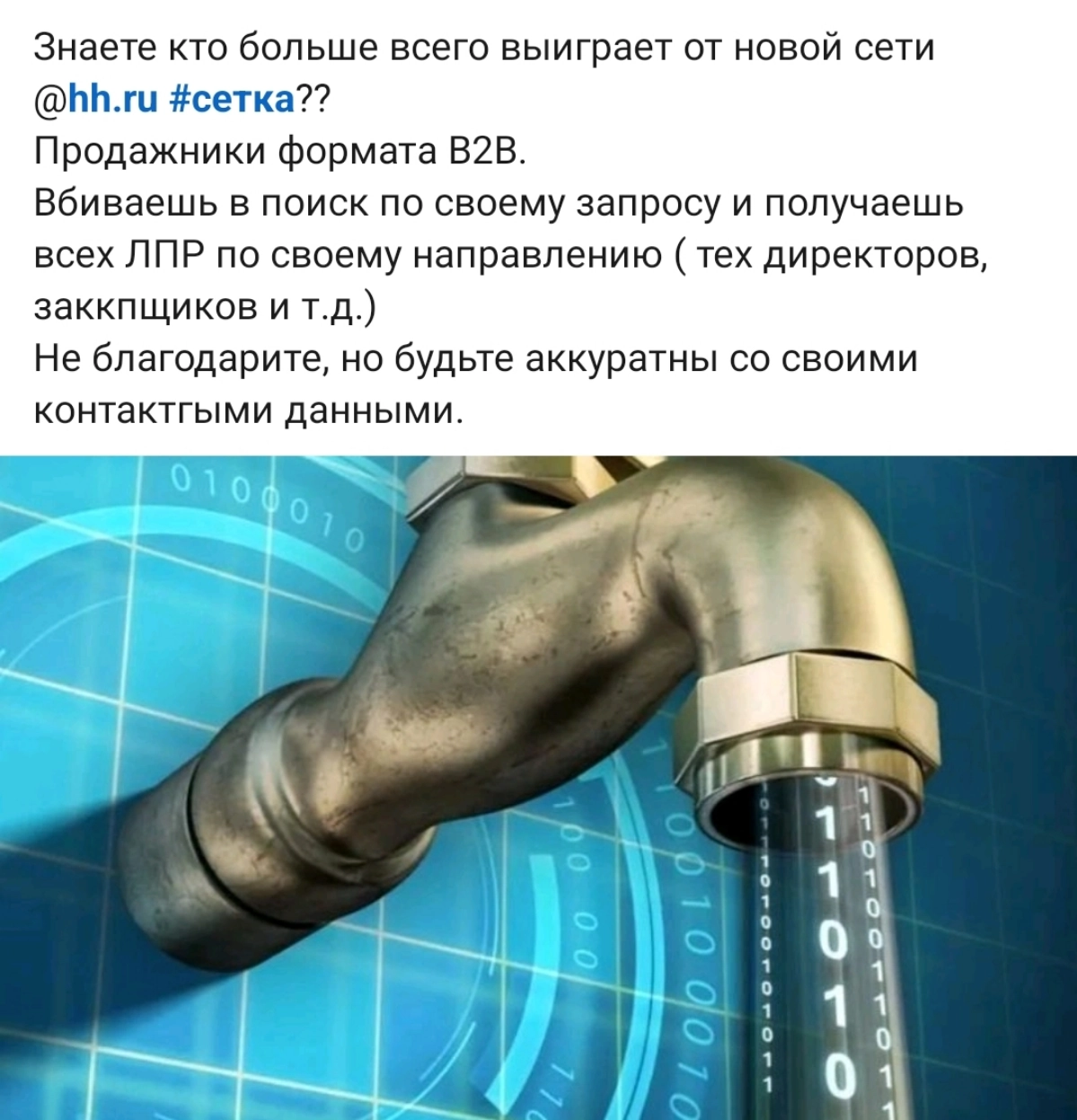 Сетка — новая социальная сеть от hh.ru