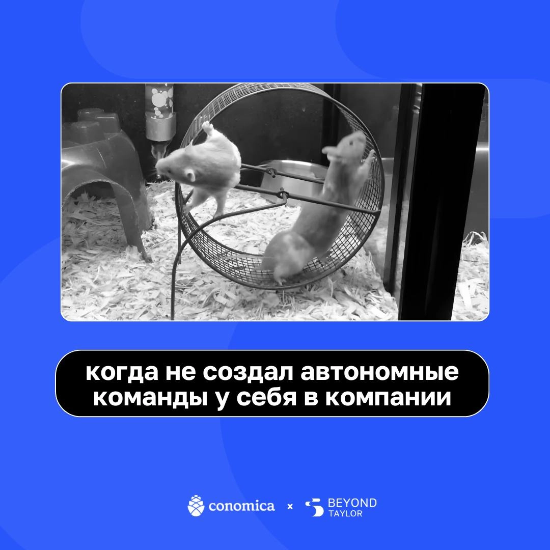 Объявляем пятницу-мемятницу! 🕺
Неделя выдалась насыщенной, поэтому мы с ребятами из Conomica сели и напридумывали приколов | Сетка — новая социальная сеть от hh.ru