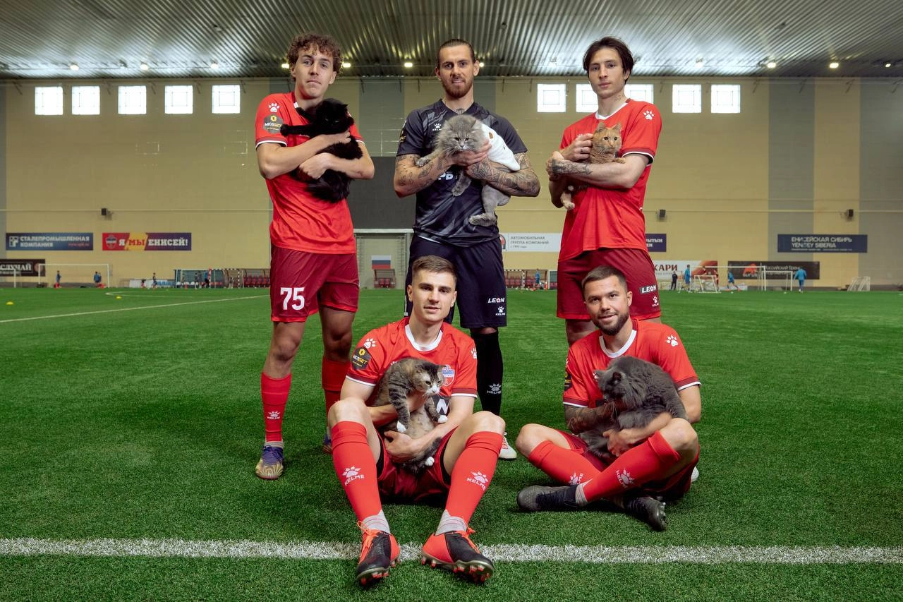 😻 Милая акция Leon и ФК Енисей
Помогли бездомным животным через приют «Золотое сердце» | Сетка — новая социальная сеть от hh.ru