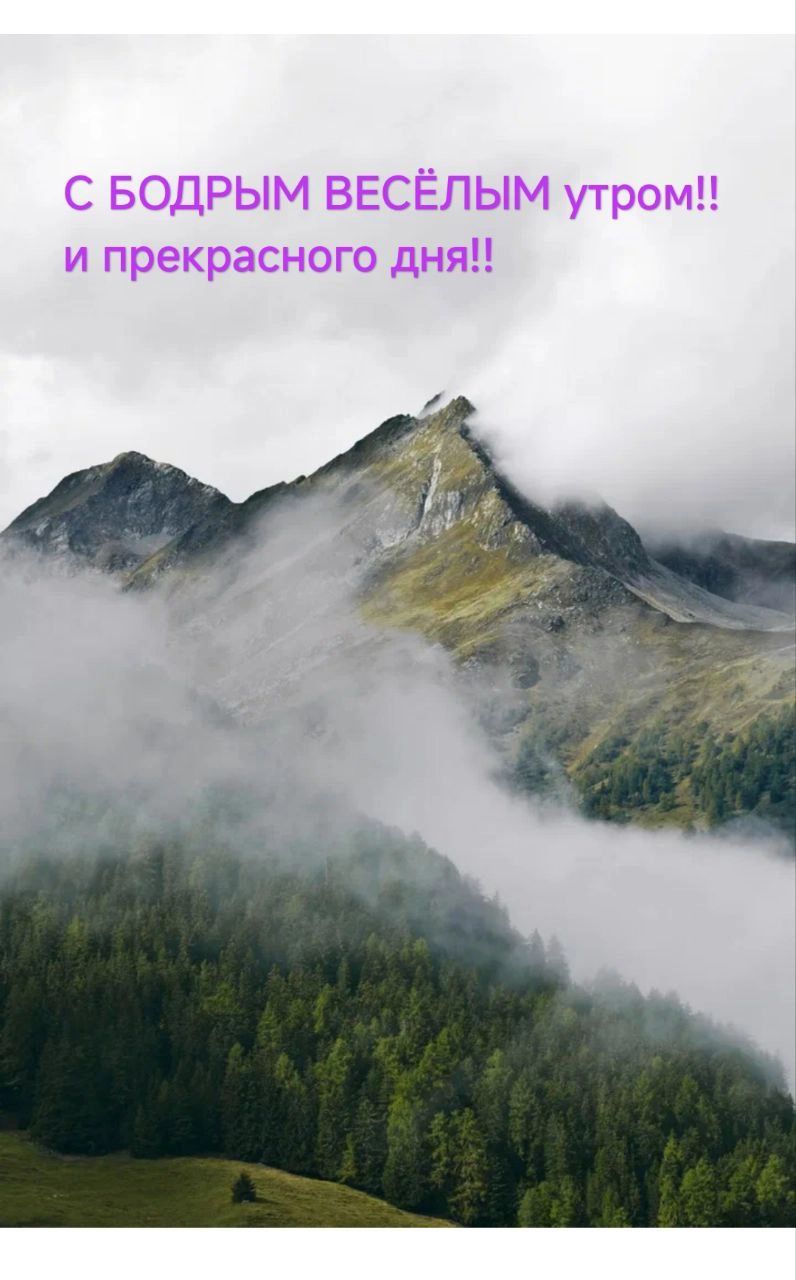 Сетка — новая социальная сеть от hh.ru