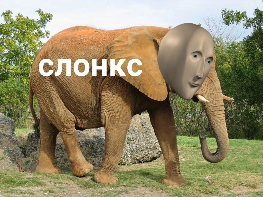 ⚡️ Задержан Павел Дуров — вот бы его к нам
*Основатель Telegram и ВК Павел Дуров задержан по обвинению в причастности к терроризму, обороту наркотиков и мошенничеству | Сетка — новая социальная сеть от hh.ru