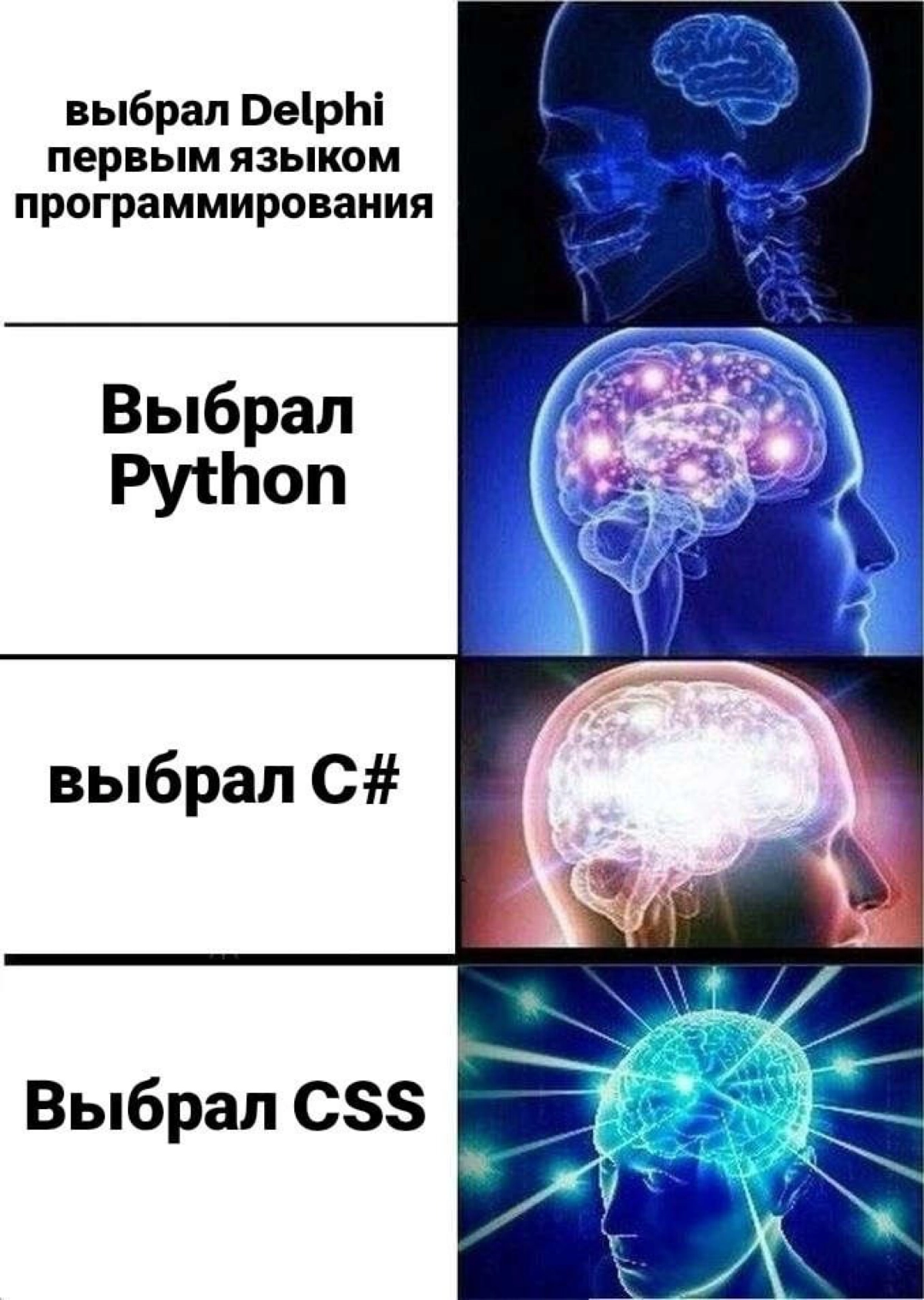 Сетка — социальная сеть от hh.ru