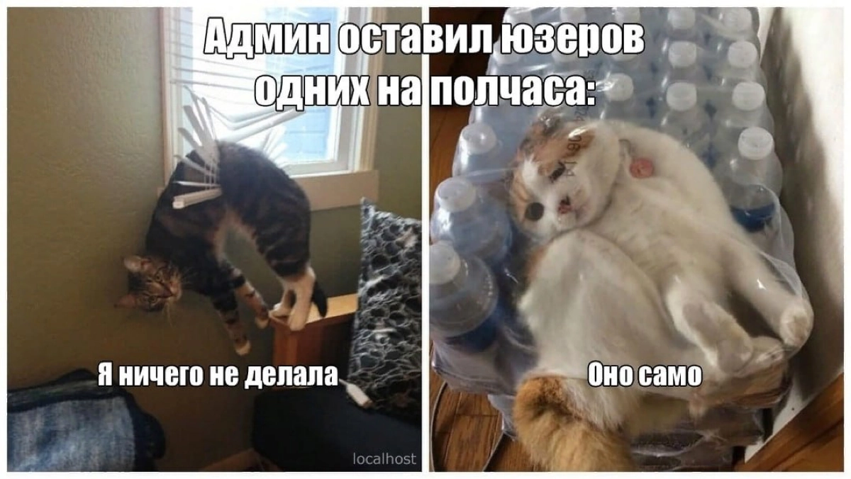 Сетка — социальная сеть от hh.ru