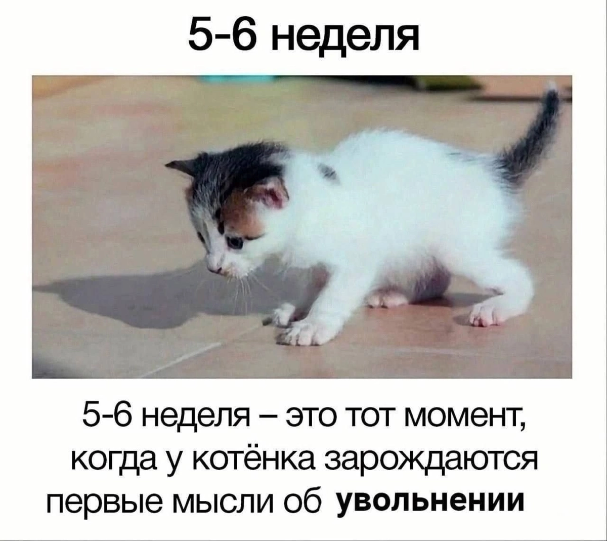 Если так, приходите на карьерную консультацию 😃 | Сетка — новая социальная сеть от hh.ru