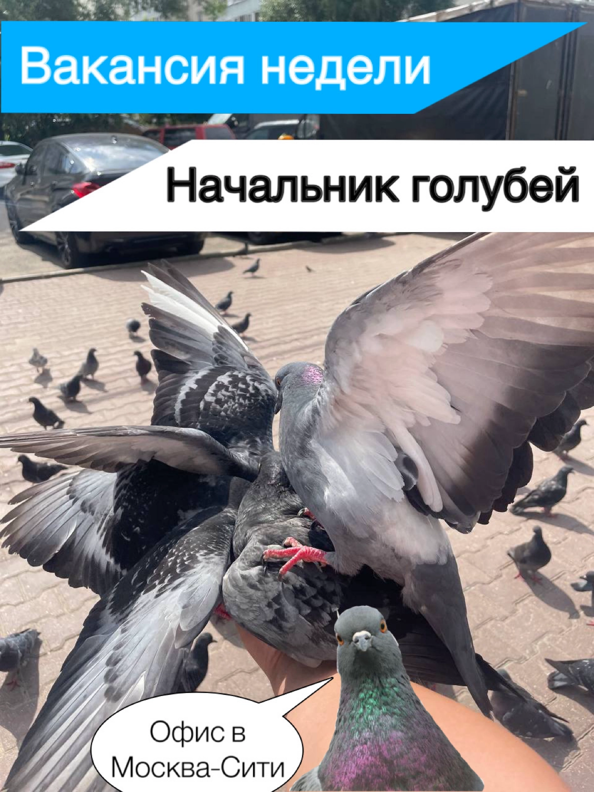Сетка — новая социальная сеть от hh.ru