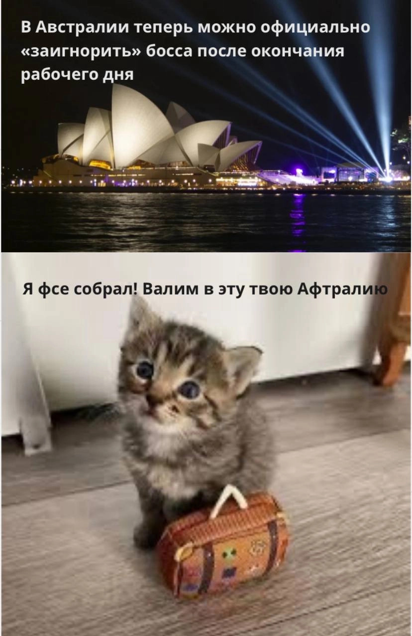 Good news, everyone! 🤩
Пока неудачники! 😜
#мем #мемдня #работаНеВолк #трудоВыебудни #босс #hr | Сетка — новая социальная сеть от hh.ru