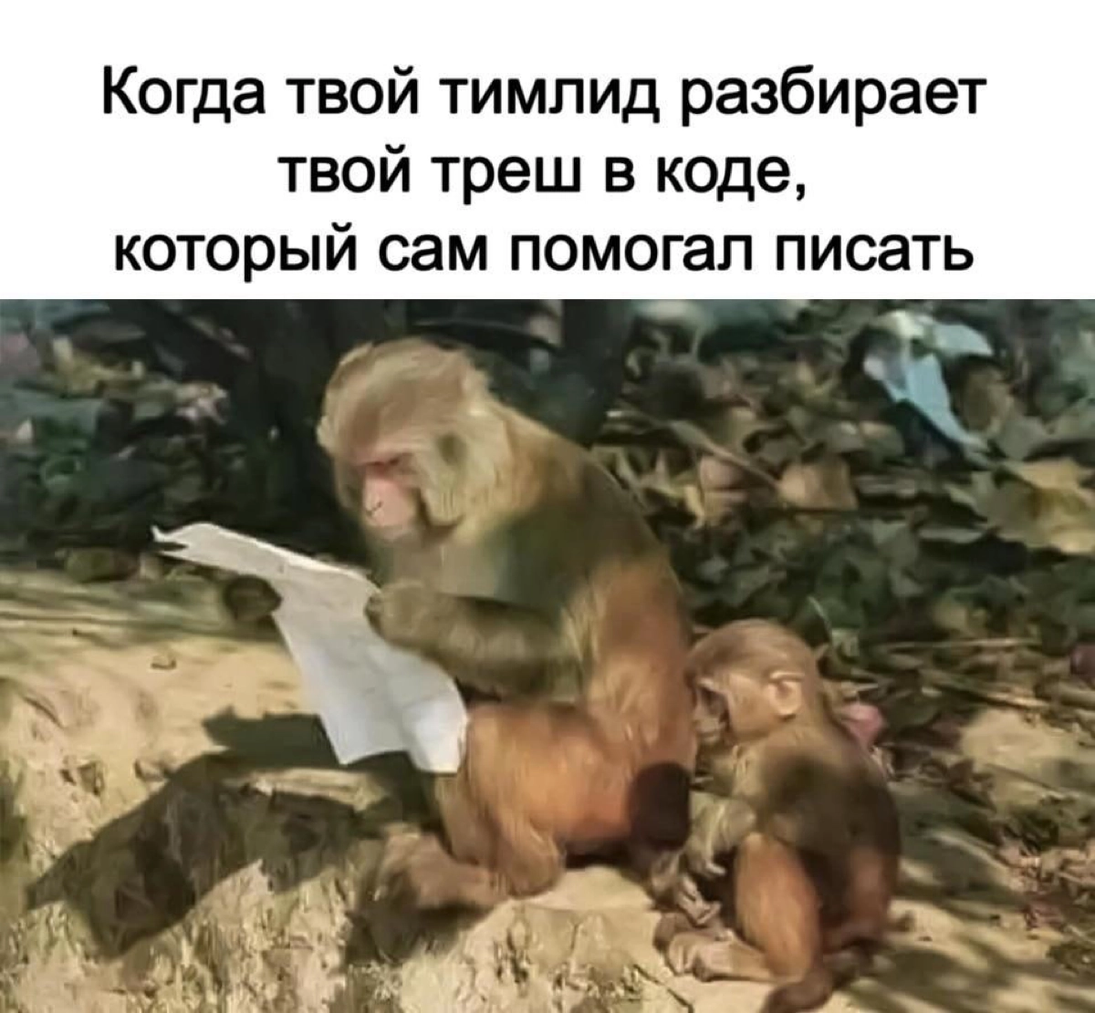 Сетка — социальная сеть от hh.ru