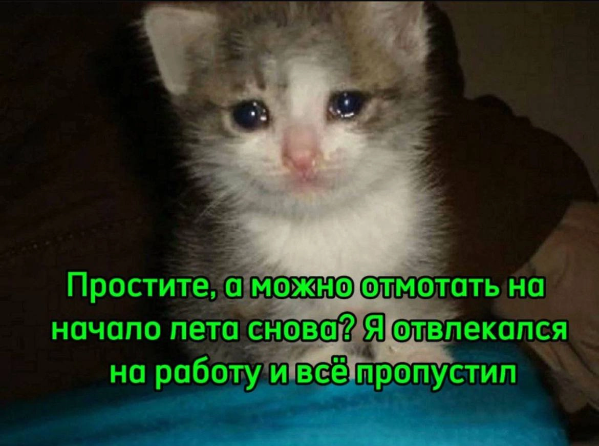 Сетка — новая социальная сеть от hh.ru