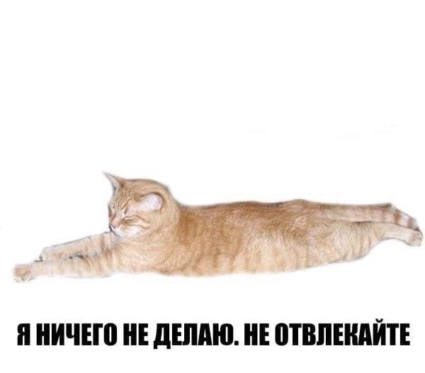 Сетка — новая социальная сеть от hh.ru