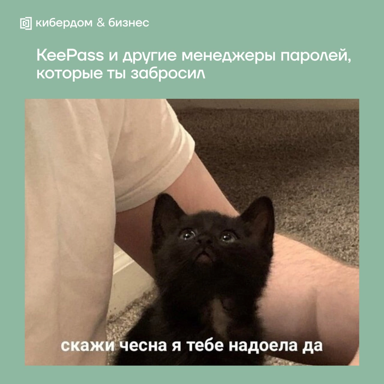❤️ А вы тоже не знали, что сегодня международный день мемов?
Покидайте в комментарии свои любимые, мы тоже хотим посмеяться 😀
#безопасныймем
🏠Подписаться на Кибердом & Бизнес | Сетка — социальная сеть от hh.ru