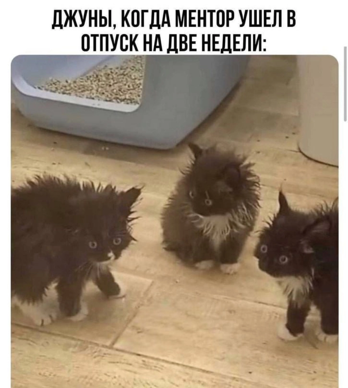 Сетка — социальная сеть от hh.ru