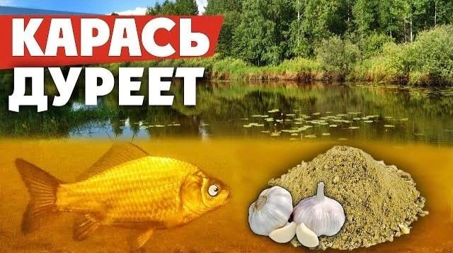 Сетка — новая социальная сеть от hh.ru
