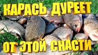 Сетка — новая социальная сеть от hh.ru