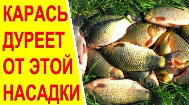 Сетка — новая социальная сеть от hh.ru