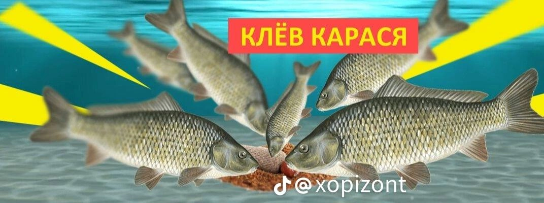 Сетка — новая социальная сеть от hh.ru