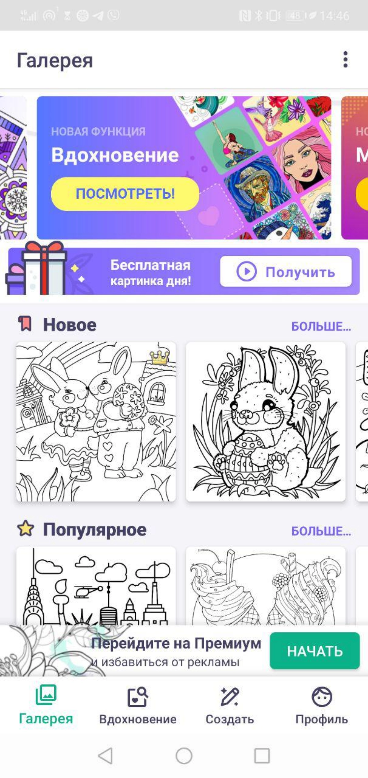 Network member avatar