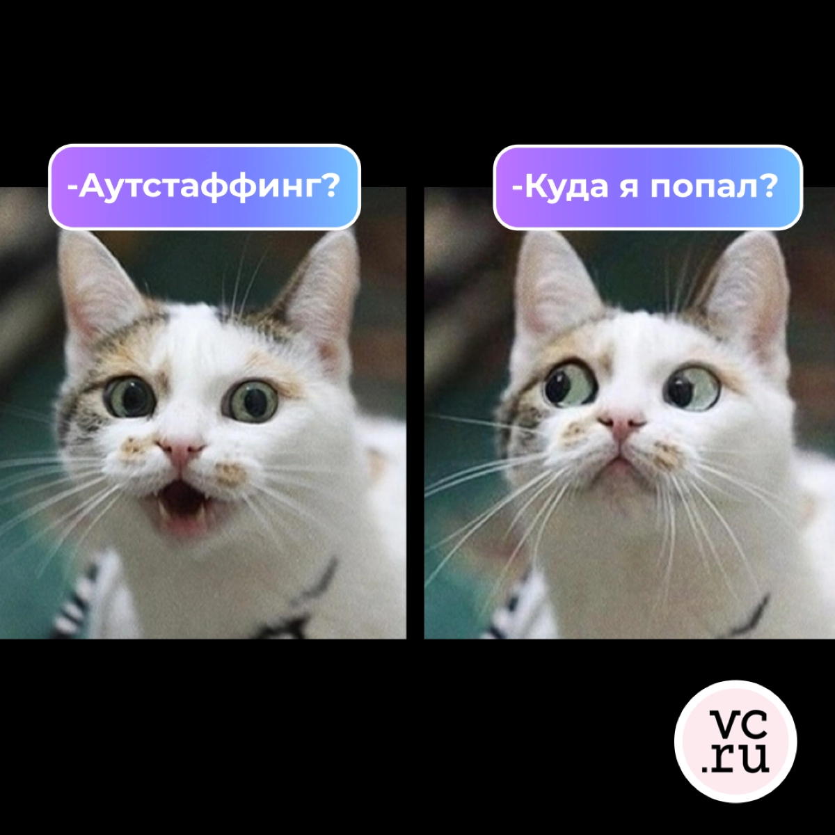 Аутстаффинг - это не больно | Сетка — новая социальная сеть от hh.ru