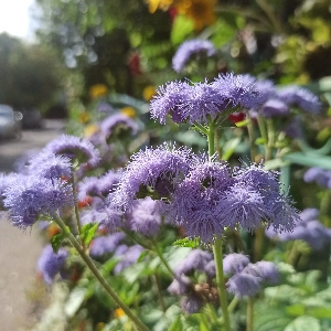 Наталия Гоппе | Сетка — социальная сеть от hh.ru