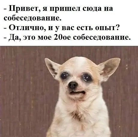 По обе стороны интервью ч.1
Вводная часть
Данная статья продолжает цикл статей по составлению резюме, которые я ранее публиковал. Однако здесь будет затрагиваться более сложная и щекотливая тема | Сетка — новая социальная сеть от hh.ru