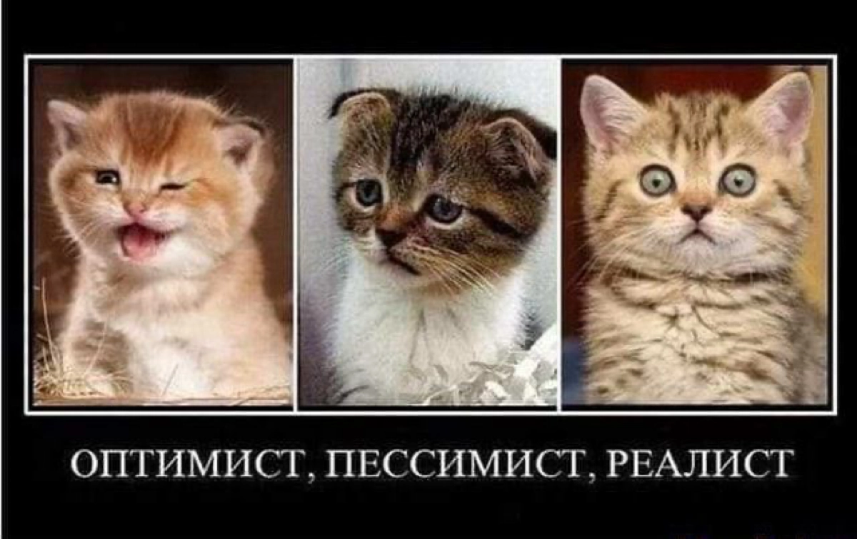 Реализм vs. Пессимизм | Сетка — новая социальная сеть от hh.ru