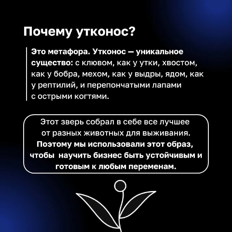❓ Как связаны утконосы и бизнес ❓
Этот уникальный зверек, сочетающий в себе черты разных животных, прекрасно адаптирован к изменениям и новым условиям | Сетка — новая социальная сеть от hh.ru