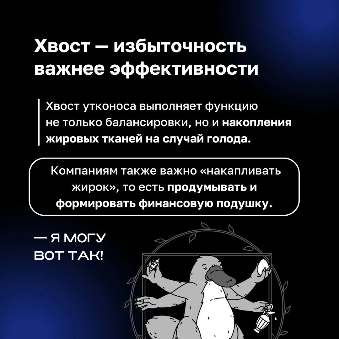 ❓ Как связаны утконосы и бизнес ❓
Этот уникальный зверек, сочетающий в себе черты разных животных, прекрасно адаптирован к изменениям и новым условиям | Сетка — новая социальная сеть от hh.ru