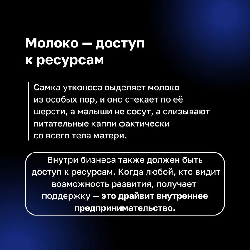 ❓ Как связаны утконосы и бизнес ❓
Этот уникальный зверек, сочетающий в себе черты разных животных, прекрасно адаптирован к изменениям и новым условиям | Сетка — новая социальная сеть от hh.ru