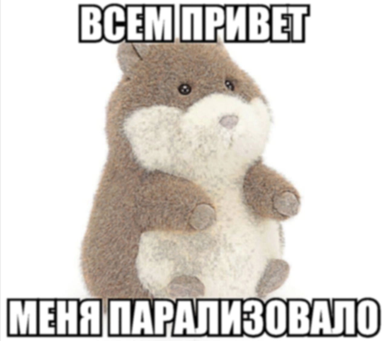 Сетка — новая социальная сеть от hh.ru