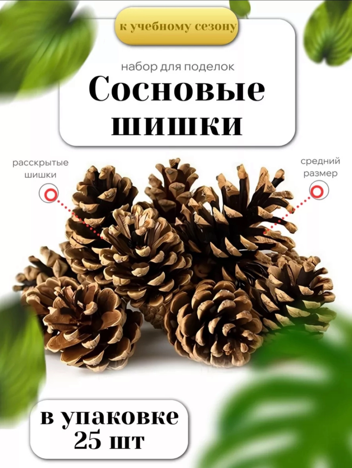 Бизнес из ничего, как продают лесные ветки и шишки на WB | Сетка — новая социальная сеть от hh.ru