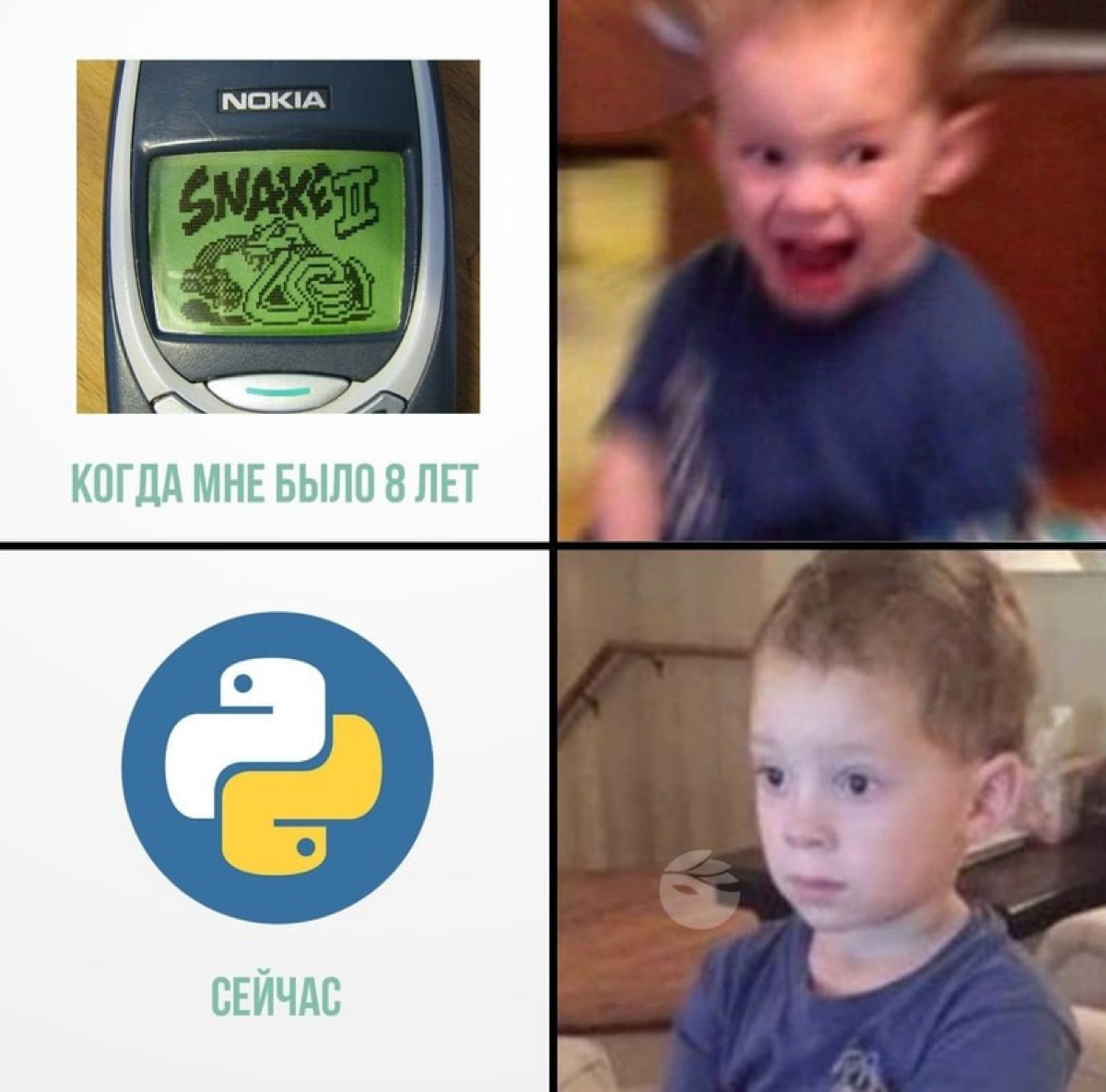 Сетка — социальная сеть от hh.ru