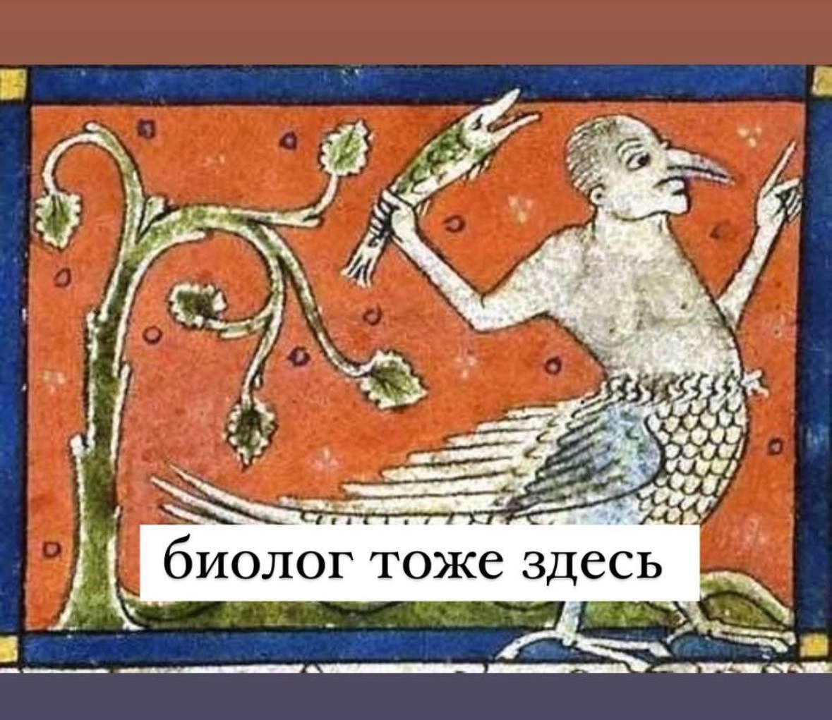 🖥 Радуюсь тому, что ещё 4 года в школу не надо ни мне, ни сыну. Всех с Днём Знаний.
Канал:Анна Зорик | Маркетинг & Context | Сетка — новая социальная сеть от hh.ru