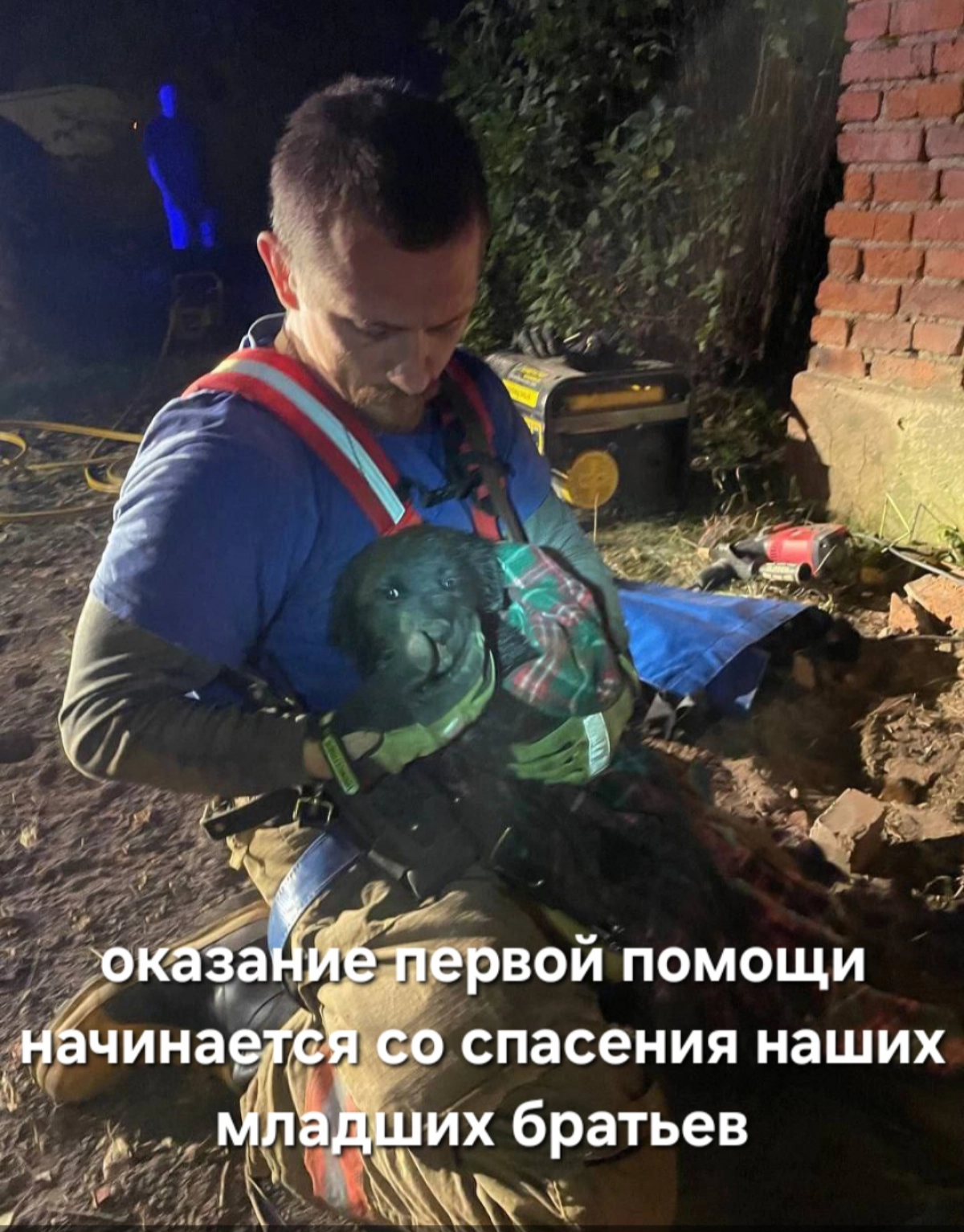 Сетка — социальная сеть от hh.ru