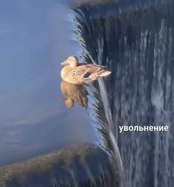 Я перестала выбирать проекты только по офферуРаньше я обращала острое внимание на то, сколько стоит💲 в оффере 
Сегодня я впервые приняла решение уйти из одного из них в проект с оплатой меньше, но с с... | Сетка — новая социальная сеть от hh.ru