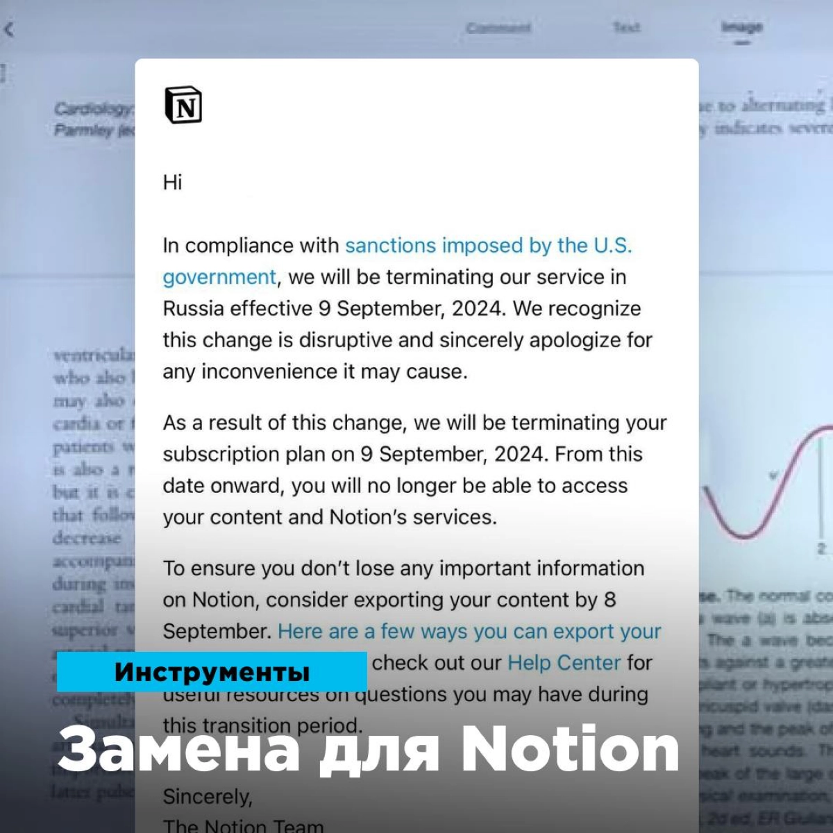 Альтернативы Notion для переезда | Сетка — новая социальная сеть от hh.ru