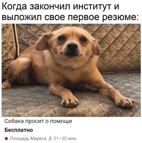 И зарплату сразу 300к указать?)
#мем #hr #работа #институт #резюме | Сетка — новая социальная сеть от hh.ru