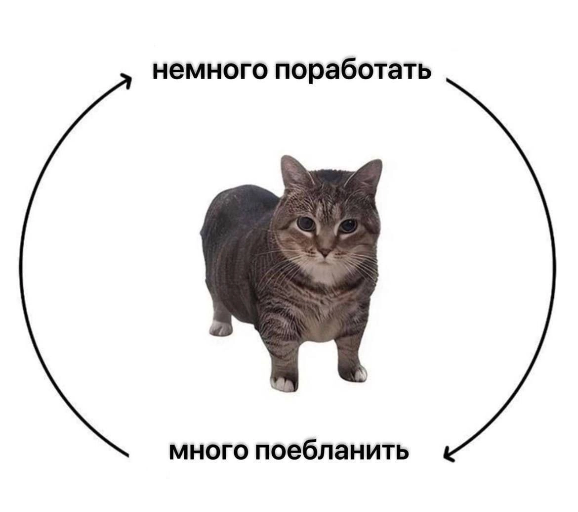 Середина недели требует мемов | Сетка — новая социальная сеть от hh.ru