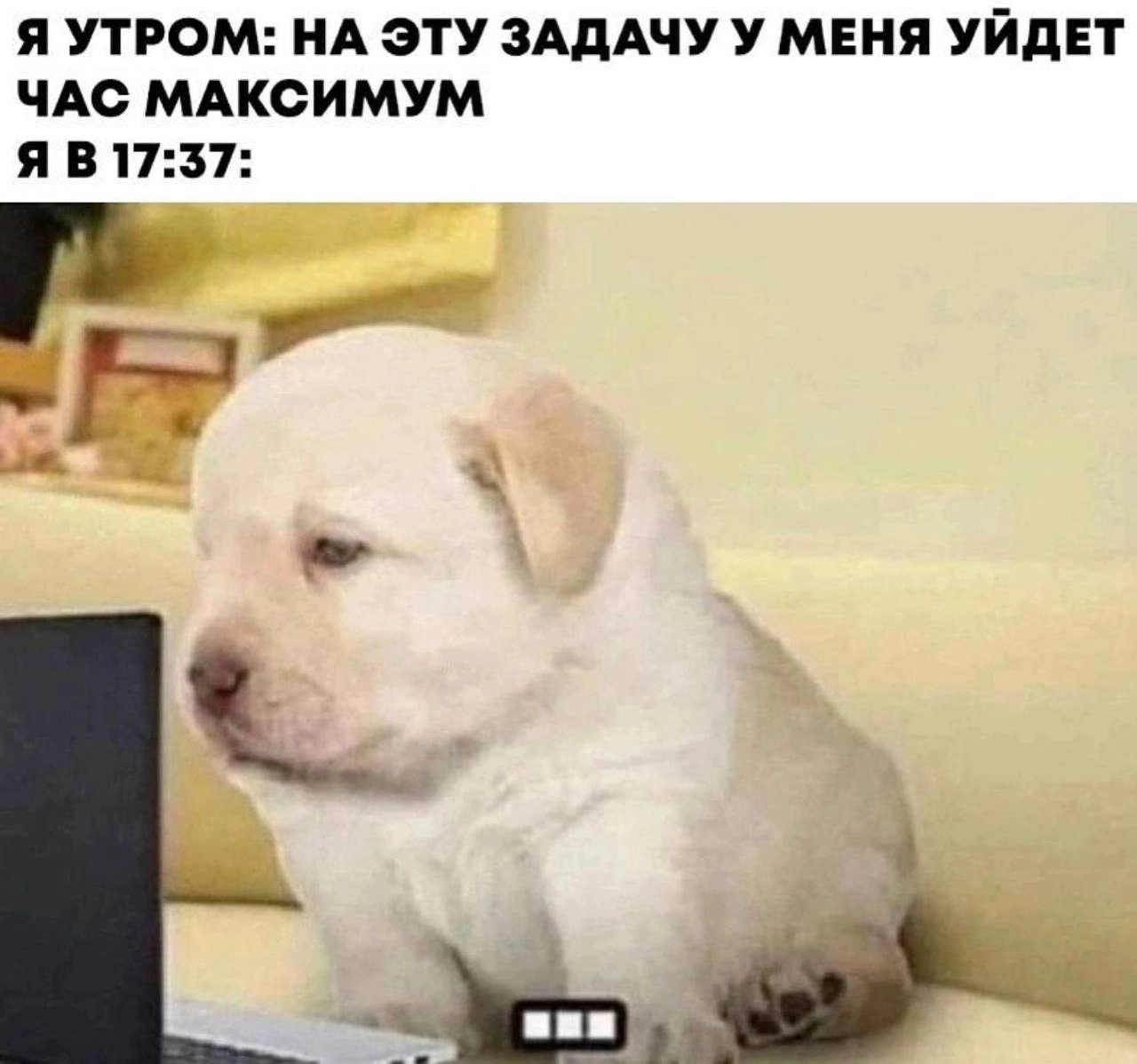 Середина недели требует мемов | Сетка — новая социальная сеть от hh.ru