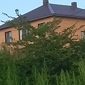 Сергей Иголкин