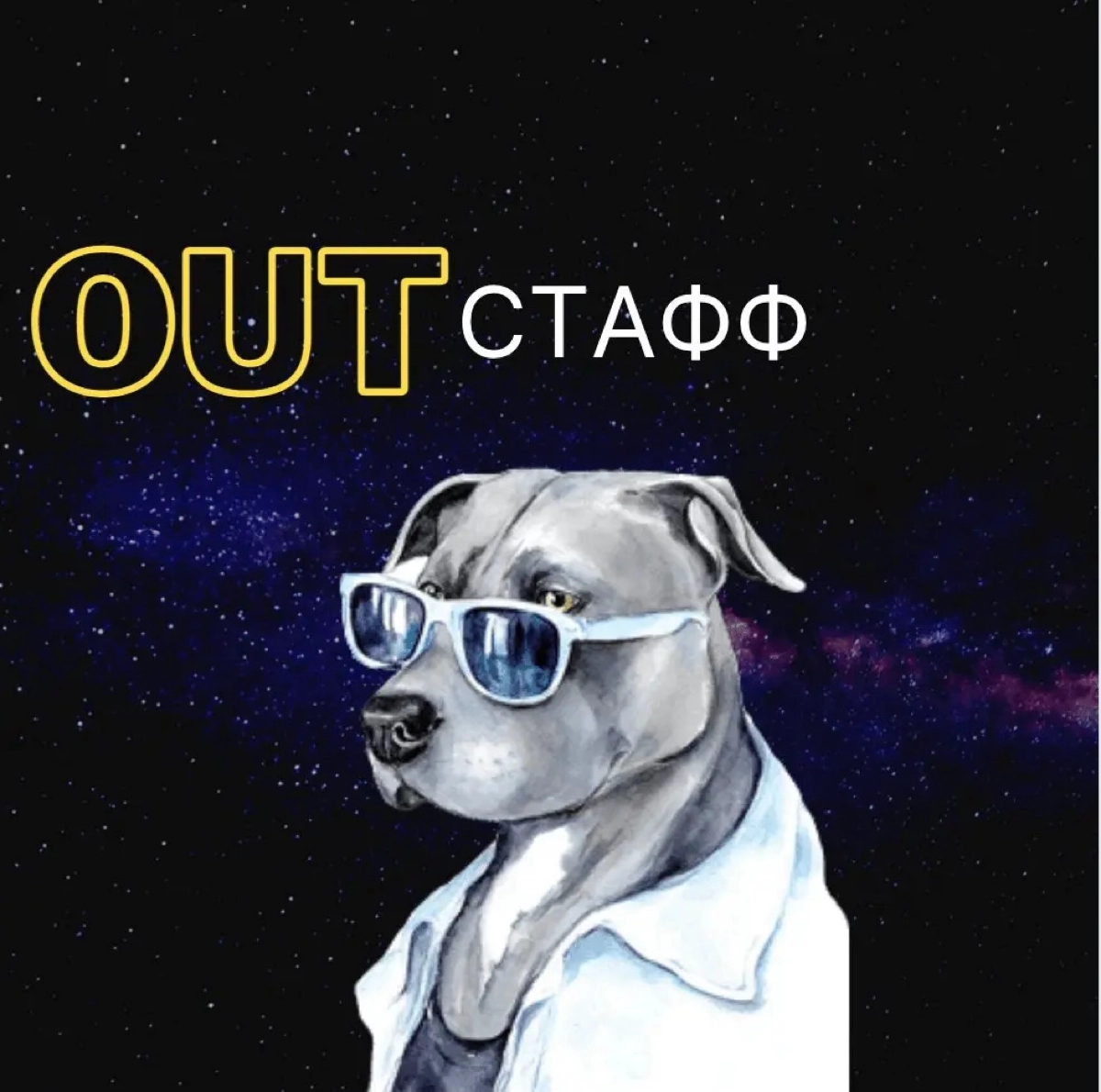 Найду разработчика/тестеровщика/аналитика за 20 минут 🤘⏳ | Сетка — новая социальная сеть от hh.ru