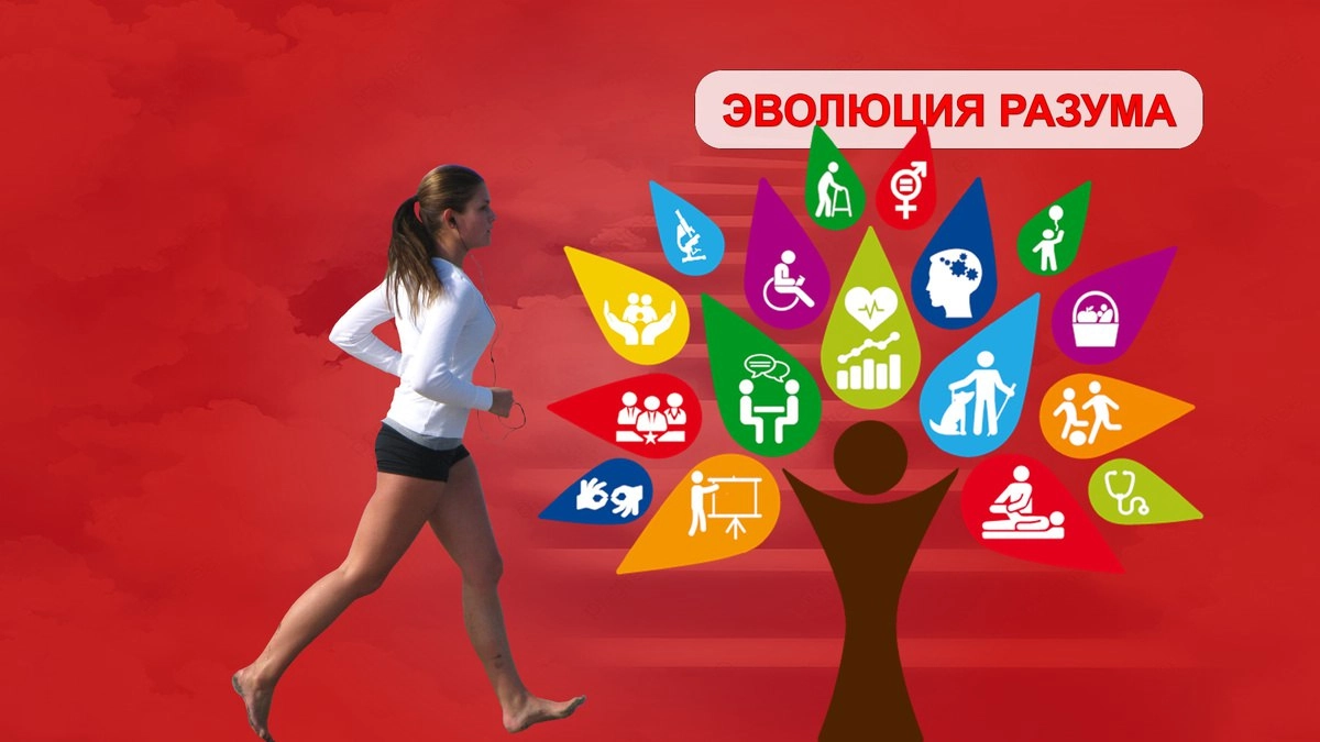 Вышла новая методика, успейте узнать | Сетка — социальная сеть от hh.ru